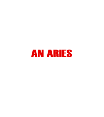 Piss of an ARIES model negru pe tricou