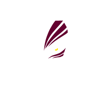 Ichigo Hollow Mask model negru pe tricou