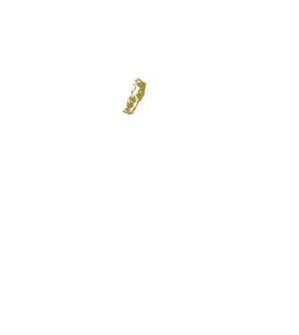 King in the north 2c model negru pe tricou