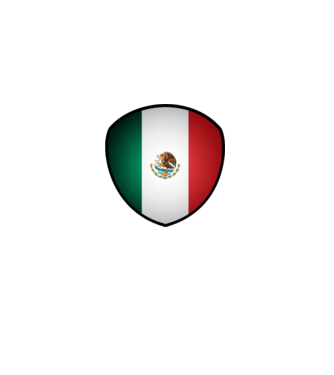 MEX-jabulani-flag model alb pe tricou