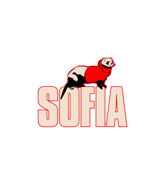 sofia la casa de papel model alb pe tricou