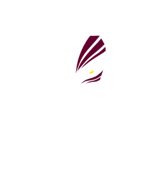 Ichigo Hollow Mask model negru pe tricou
