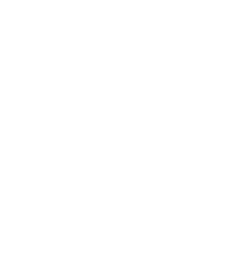Mr 1 model negru pe tricou