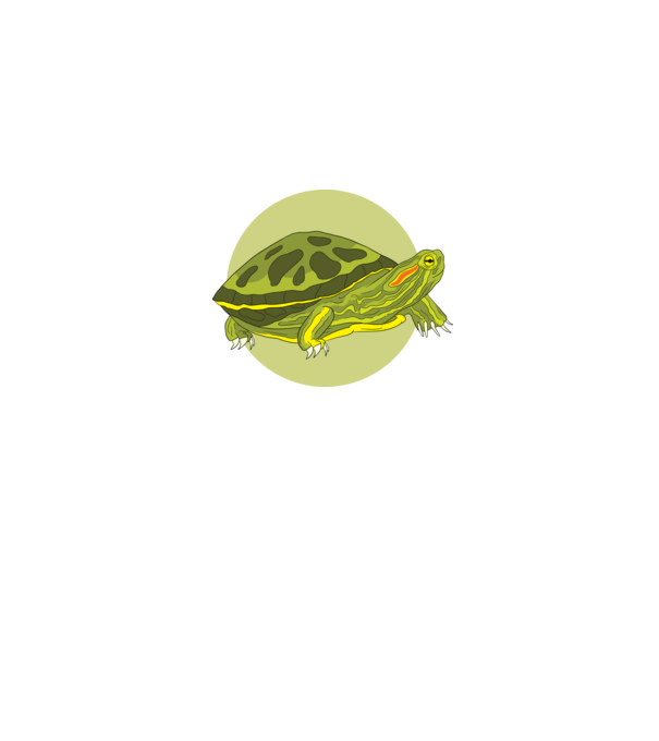 Turtle model negru pe tricou