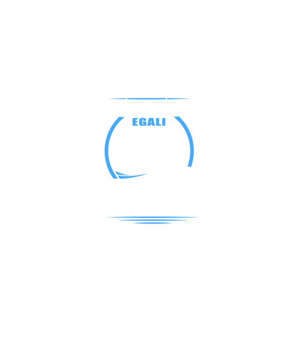 Toți bărbații se nasc egali programatori model negru pe tricou