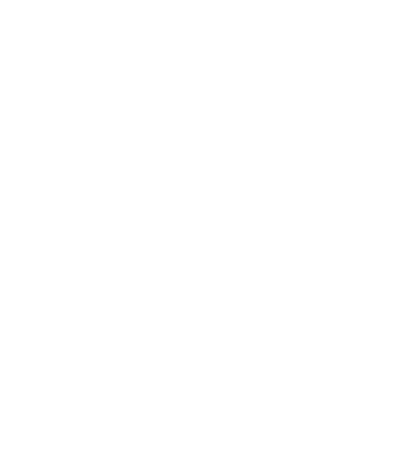 buddha silhouette model gri pe tricou