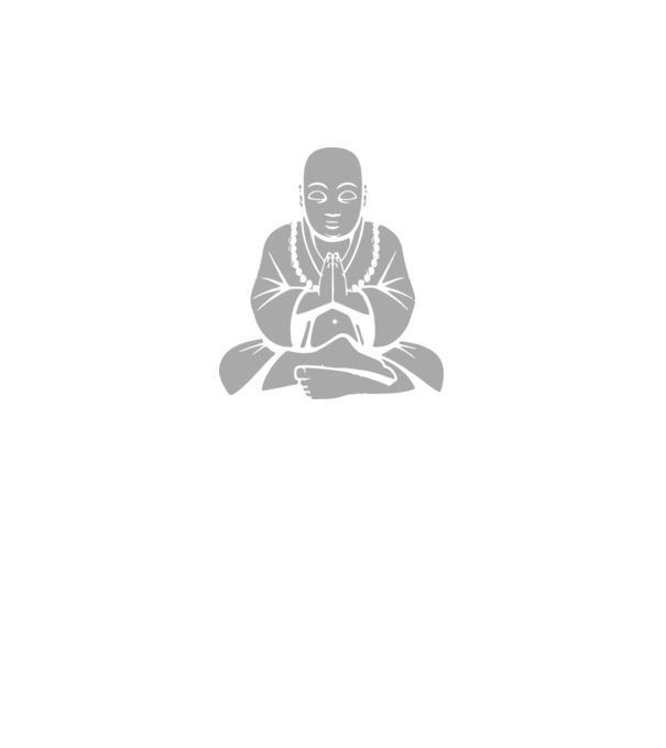 monk model gri pe tricou