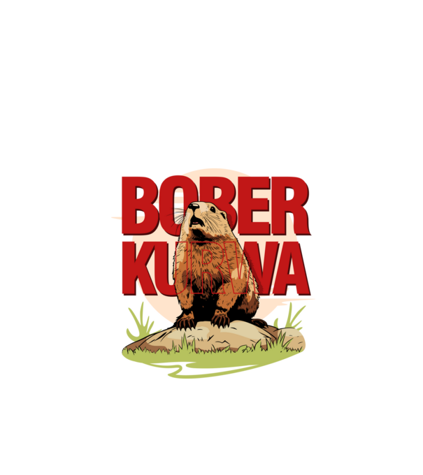 BOBER model alb pe tricou
