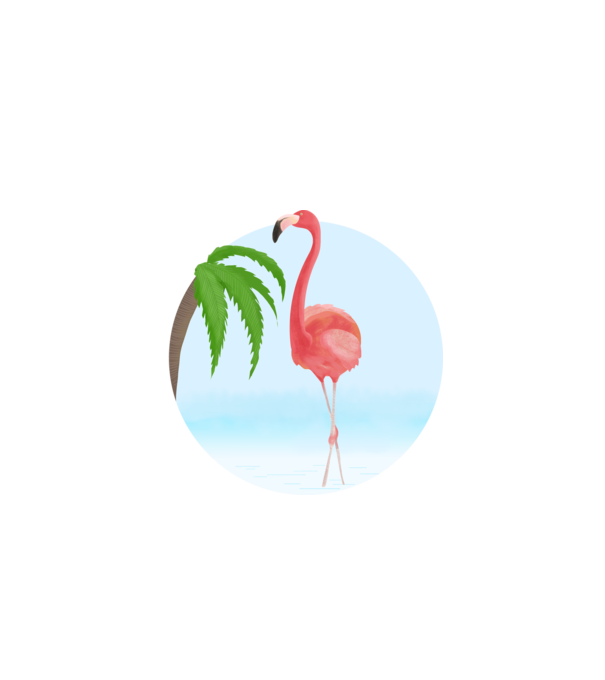 Flamingo model alb pe tricou