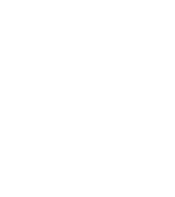 Mr. model negru pe tricou