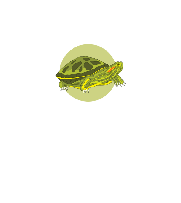 Turtle model negru pe tricou