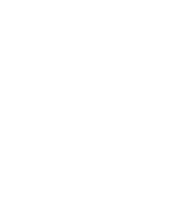 Alive since 2009 model negru pe tricou