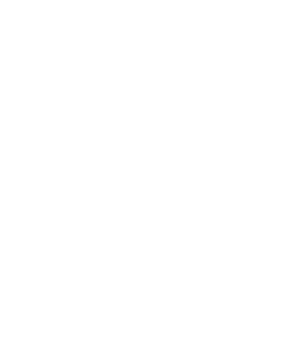 Nimeni nu e perfect, dar șoferii de dube sunt foarte aproape model negru pe tricou