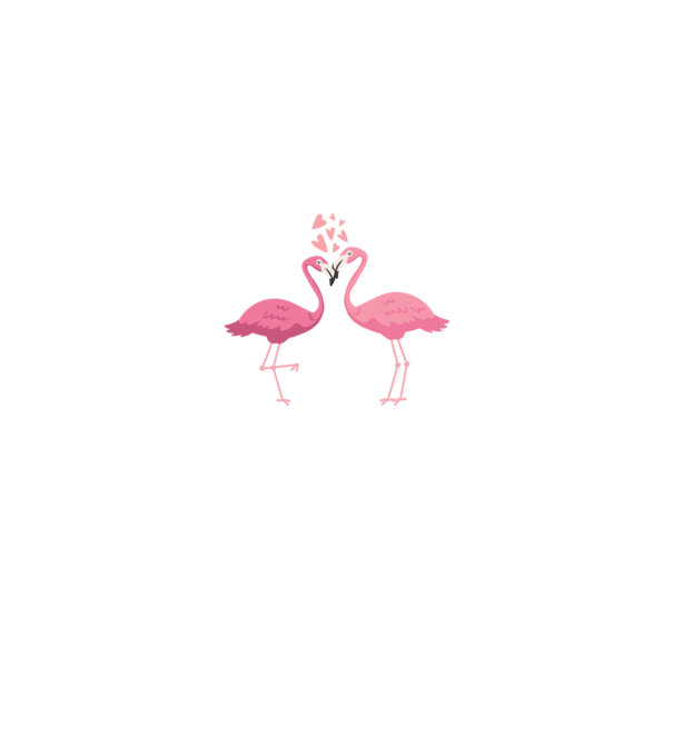 FLAMINGO ÎNDRĂGOSTIȚI model alb pe tricou