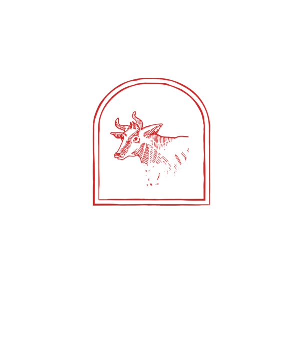 Festival de ceaun - cu tata în grădina din spate! model negru pe tricou