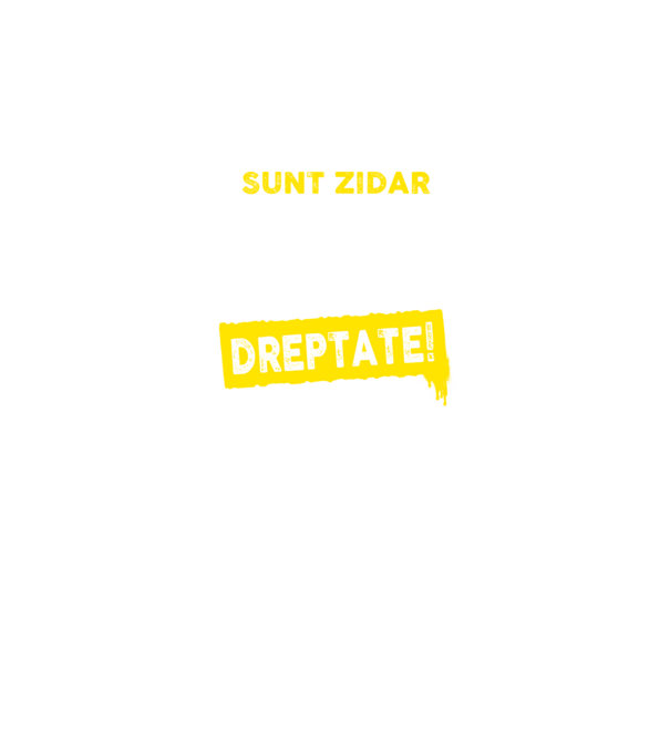 Sunt zidar, pentru a economisi timp, să reținem că am întotdeauna dreptate! model albastru regal pe tricou