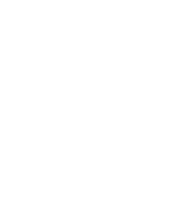 Alive since 1999 model negru pe tricou
