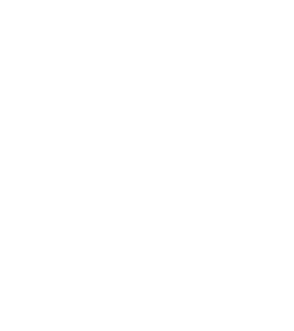 All men are created equal but only the best are born in february model negru pe tricou