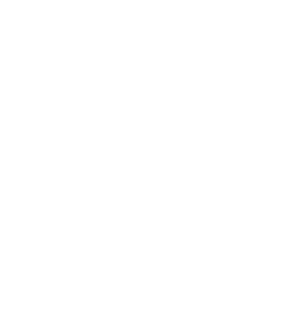 chitară evolution model negru pe tricou