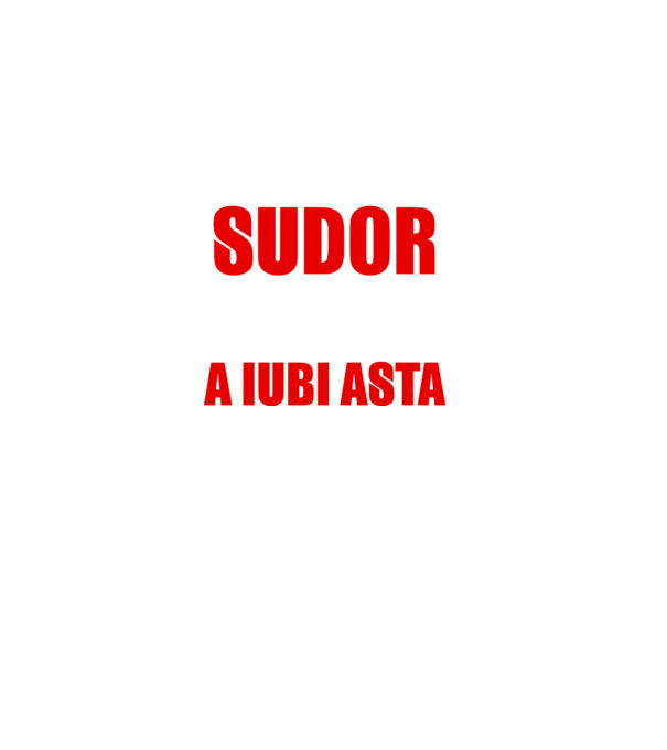Sunt suficient de priceput pentru a fi SUDOR și suficient de nebun pentru a iubi asta model negru pe tricou