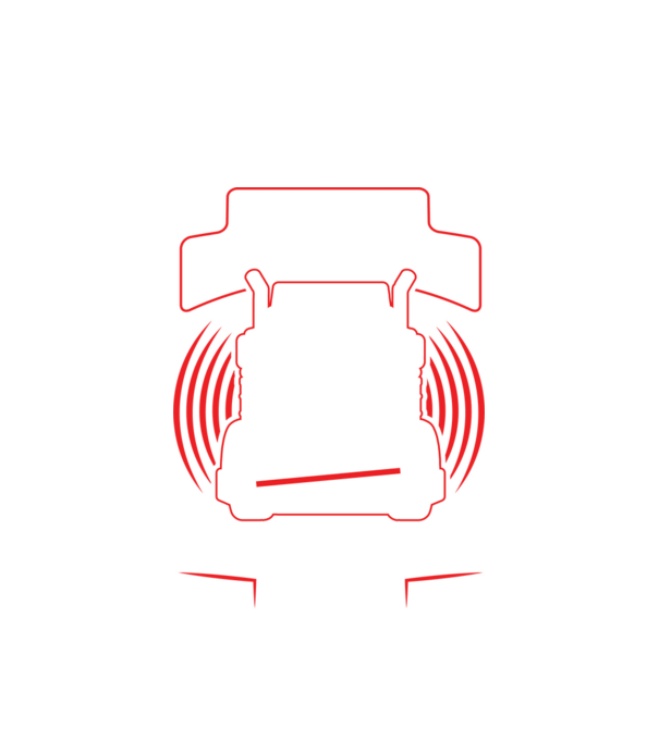 Cu bac, fără bac, tot șofer de tir mă fac model alb pe tricou