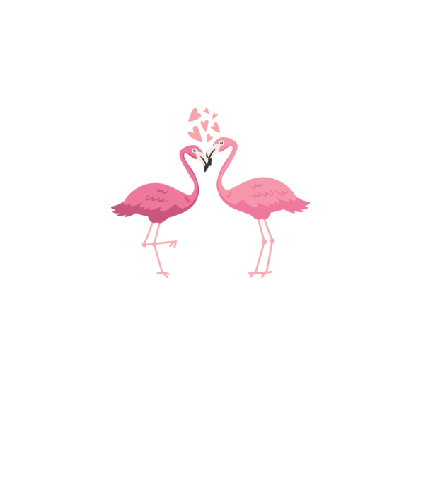 FLAMINGO ÎNDRĂGOSTIȚI model alb pe tricou