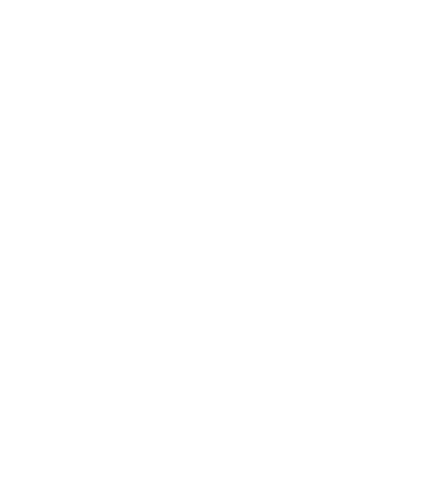 LOVE Border Collie model negru pe tricou