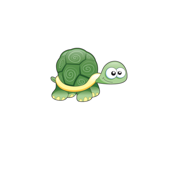 Turtle model gri pe tricou