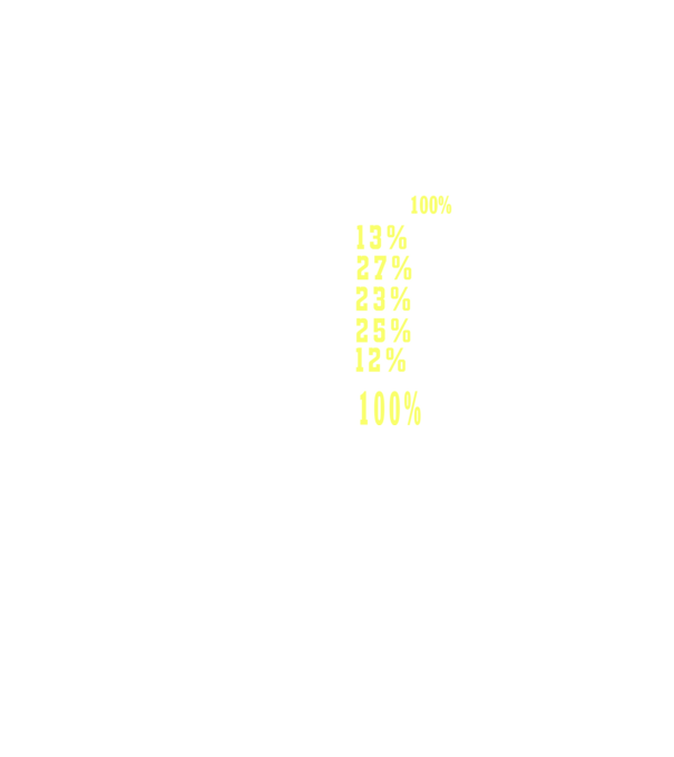 I give 100% at school model galben neon pe tricou