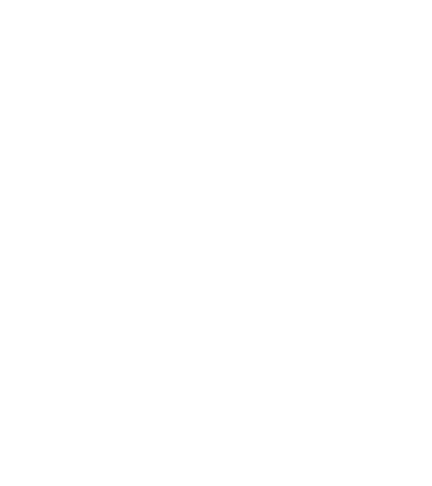 Regele - ceaunului! model negru pe tricou