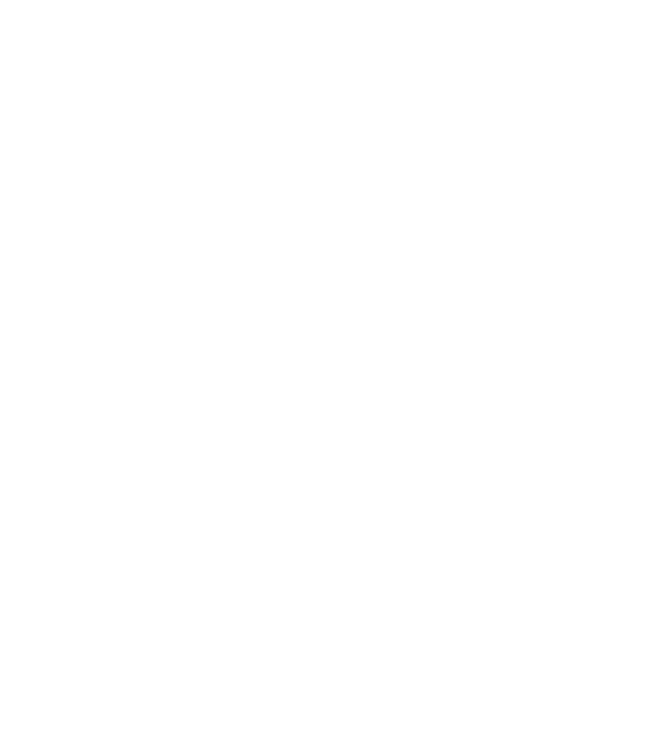 Regele - ceaunului! model negru pe tricou