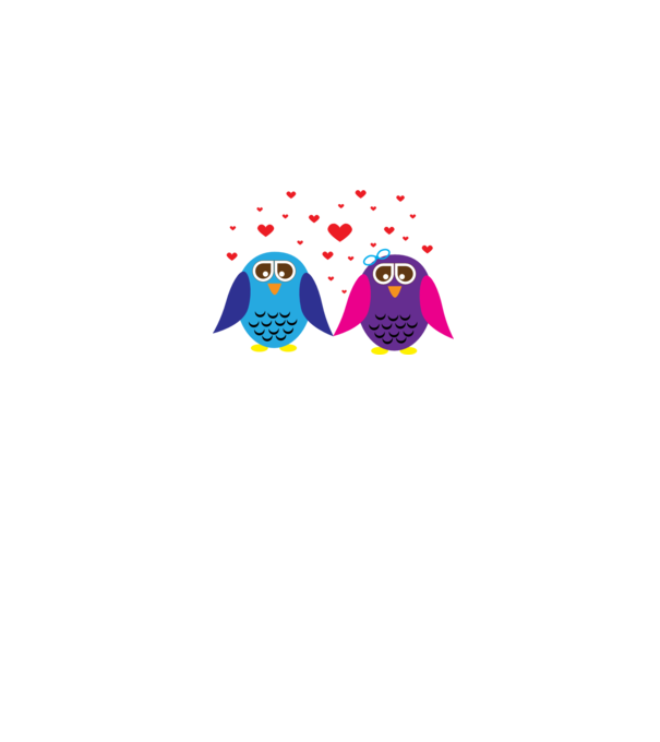 Owl Love model gri pe tricou