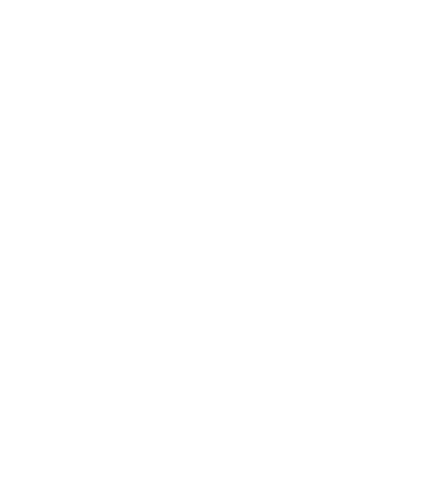 Mr 2 model negru pe tricou