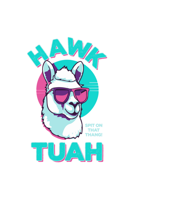 Hawk tuah llama retro sunglasses model negru pe tricou