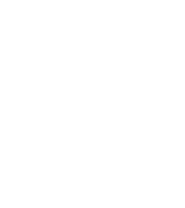 Alive since 1999 model gri pe tricou