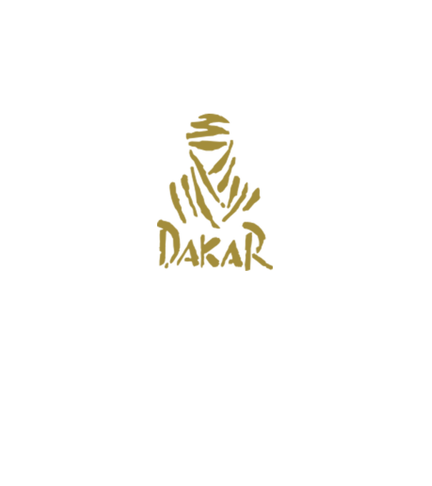 Dakar Rally model gri pe tricou