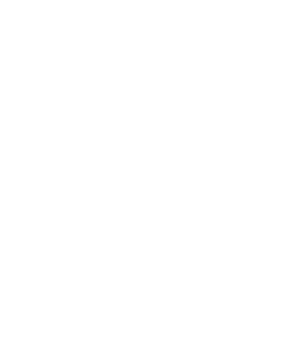 EarthLogo model negru pe tricou
