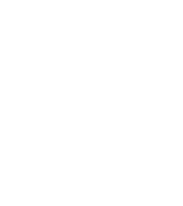 King in The North Wolf model gri pe tricou