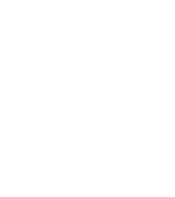 LOVE Border Collie model negru pe tricou