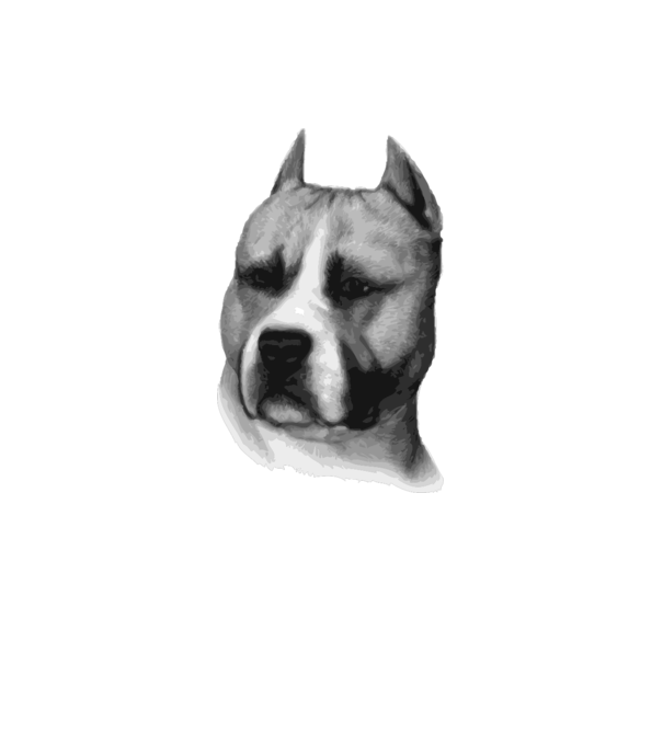 Staffordshire Terrier model alb pe tricou