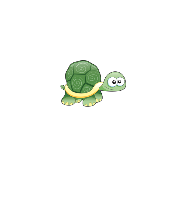Turtle model gri pe tricou