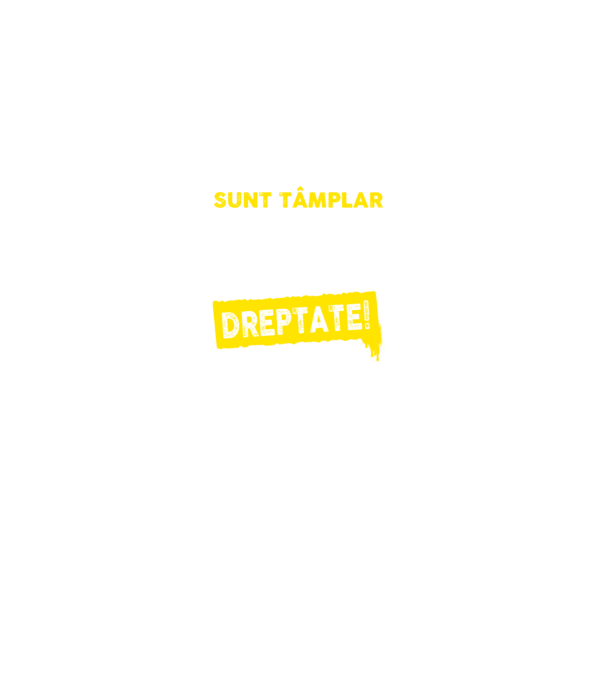 Sunt tâmplar, ca să economisim timp, să reținem că am întotdeauna dreptate model gri pe tricou
