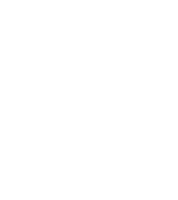 Crazy Cat Ladies are born in October model negru pe tricou