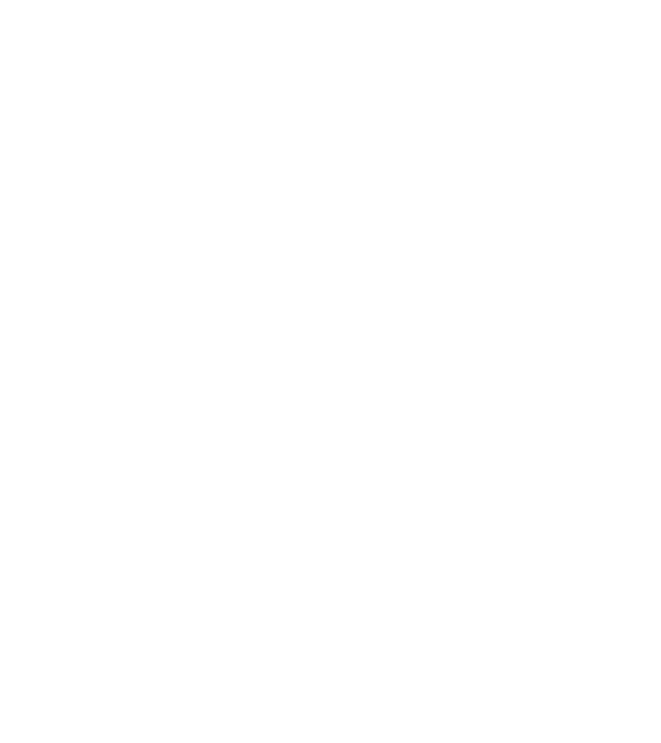 I do my own stunts model galben neon pe tricou