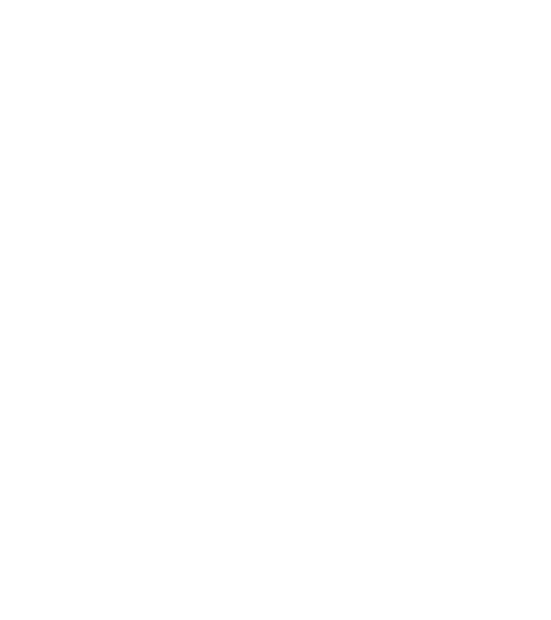 Mrs 2 model negru pe tricou