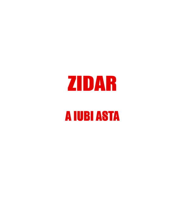 Sunt suficient de priceput pentru a fi ZIDAR și suficient de nebun pentru a iubi asta model negru pe tricou