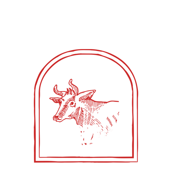 Festival de ceaun - cu tata în grădina din spate! model alb pe tricou