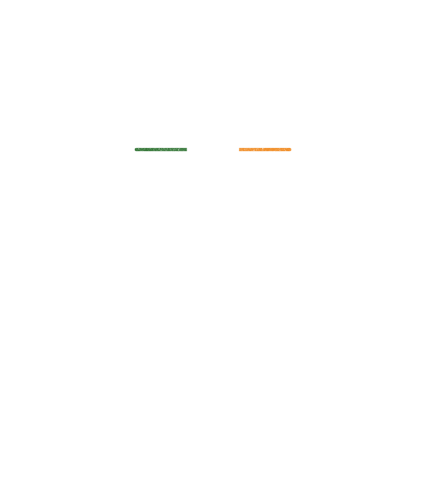 Zero irish model gri închis pe tricou