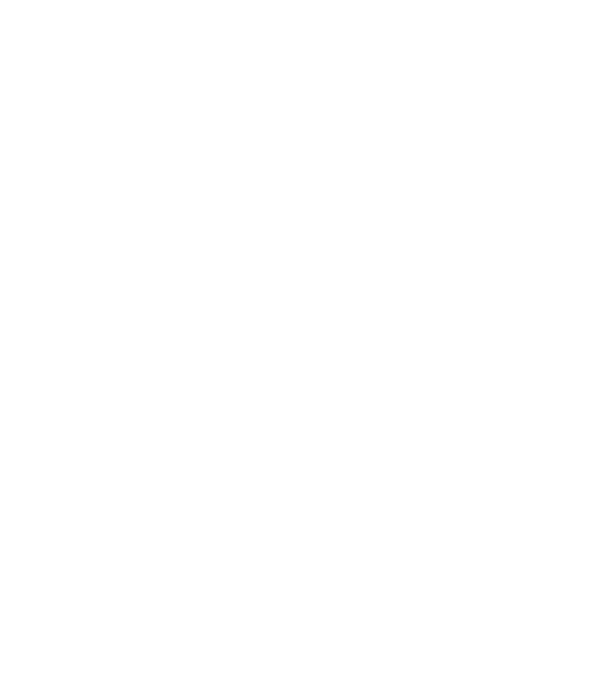 Crazy Cat Ladies are born in April model negru pe tricou