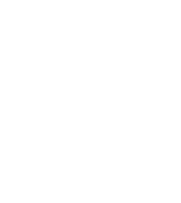 Crazy Cat Ladies are born in November model negru pe tricou